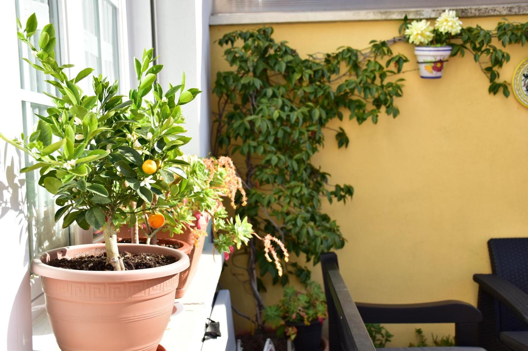 Casa Raichu Bed & Breakfast Obanos ภายนอก รูปภาพ